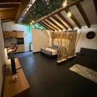 Apartamento tipo loft, hotel Guarnéban