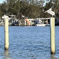 Pelicans Perch، فندق في مانّوم