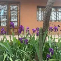 Casa Puna, hotel a Alta Gracia
