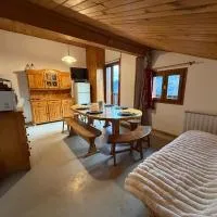 Appartement 5 pers - Draps et serviettes inclus,位于La Lechere的酒店