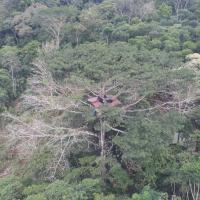 Duni Hostel, Reserva Paway, hotel cerca de Aeropuerto de Villa Garzón - VGZ, Mocoa