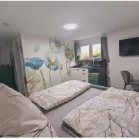 Rhein Apartments - Turquoise Studio, hotel en Küssaberg