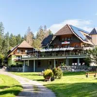 Landhaus Lauble, hotel di Hornberg
