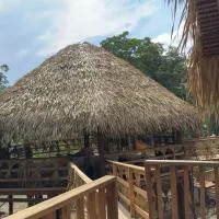Hotel Arara Azul，Aiparuça的飯店