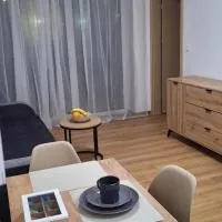 Apartament Sobieskiego nr 3, bezpłatny parking, отель в Свебодзине