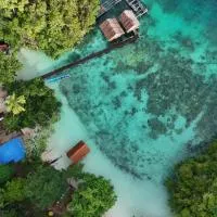 " Wobbegong Raja Ampat ", hotel a Yennanas Besir