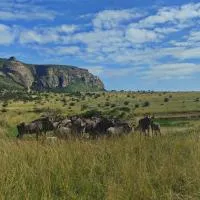 Mount Everest Guest Farm, ξενοδοχείο σε Harrismith