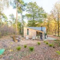 Tiny House Twente, hôtel à De Lutte