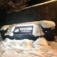 Cabañas Rukaparra，平托的飯店
