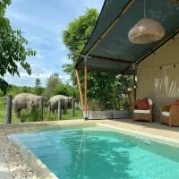 Elephant View Camp, hotel i Ban Huai Thawai