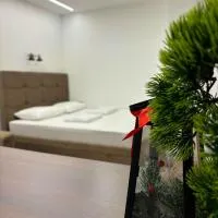Apartman Andrijana, ξενοδοχείο σε Bajina Bašta