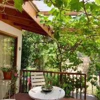 Cabaña con Patio y Árboles, hotel en Ovalle
