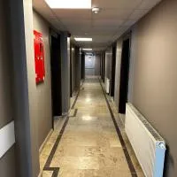 Big Inn Luxury Hotel, hotel em Biga