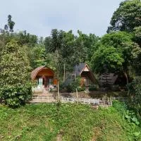 Green Forest Tangkahan, hotel din Tangkahan