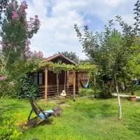 Tiny houses Genacvale, hotell i Martvili