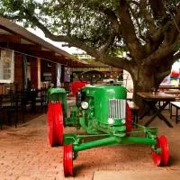 Casa Forno Country Hotel, hotel di Otjiwarongo