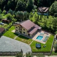 Vila Mișu, hotell sihtkohas Dobra