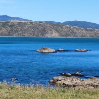 Breaker Bay Paradise, hotel pobl&iacute;ž Leti&scaron;tě Wellington - WLG, Wellington