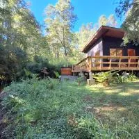 Cabañas y Hostal Casa de Campo Rukaleufu a orillas del Rio Huiscapi โรงแรมในบียารีกา