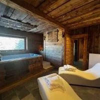 La Dane Zoncolan aparthotel & spa, отель в городе Сутрио