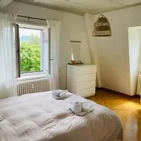 Fantastically beautiful old building apartment with lake view, hotel di Männedorf