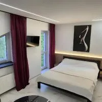 Afina center apartment, hotel a Kamianets-Podilskyi