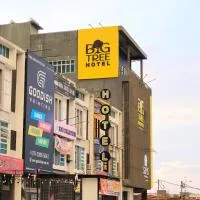 BIG TREE HOTEL、テメルローのホテル