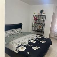 Studio Relax2, hotel dicht bij: Luchthaven Bacau - BCM, Bacău