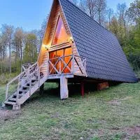 Araucaria Lodge Cabaña Alpina cerca del Parque Conguillío, hotelli kohteessa Curacautín