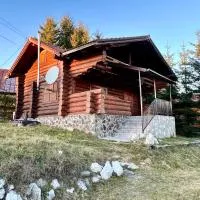 Artem Chalet, hotel en Ciocanu