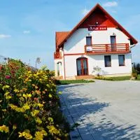 Pensiunea Ana, hotel en Odoreu