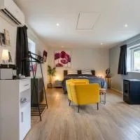 Bed and breakfast Stiens, hotel em Stiens