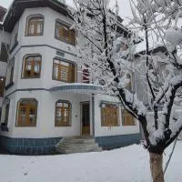 The Vintage Kashmir Homestay, hotel in Srinagar