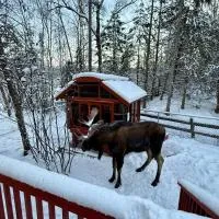 Hot Tub Stunning Mountain Views 2 kitchens 4 bedroom 2 bathroom, Hotel in Anchorage