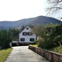 Gîte des abeilles du Kohlberg, hôtel à Wangenbourg