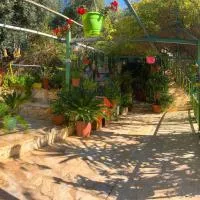 بيت الطبيعة nature house, hotel em Gérasa