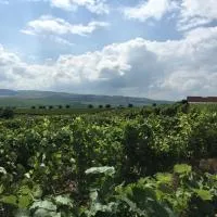 Transylvania WINE, hotel en Turda