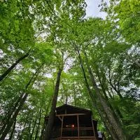 Romantic Summer Couples Escape, Private Hot Tub, EV Station, Fast 600 Mbps WiFi, מלון בMars Hill