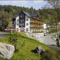 Land- und Kurhotel Tommes, hotel in Nordenau, Schmallenberg