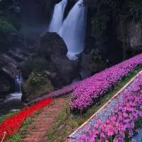 Doi Inthanon Waterfall Garden, hotel a Ban Sop Mae Klang