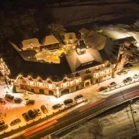 Hanul Teilor – hotel w mieście Dăneşti