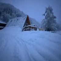 Chalet Carolina, hotel di Padeş
