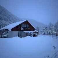 Cabana lui Foardă, hotel di Motru Sec