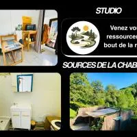 Studio aux Sources de la Chabanne, hotel u gradu Saint-Hilaire-les-Courbes