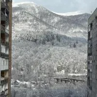 ADA Residence Lupeni acces rapid catre Straja Ski Resort, ξενοδοχείο σε Lupeni
