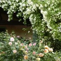 Rosedeliziose B&B Baldissero Canavese, hotell i Torre Canavese