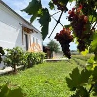 Lavender farm Zarić, hotel di Porosanica