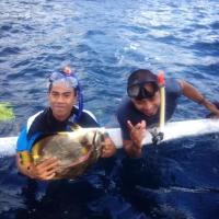 Merta Sari Snorkeling, Spearfishing, Hotel in Jasri