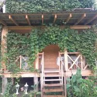Riverside Cottage, hotel i Martvili