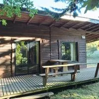Cabañas Río Iculpe, Hotel in Lago Ranco